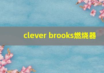 clever brooks燃烧器